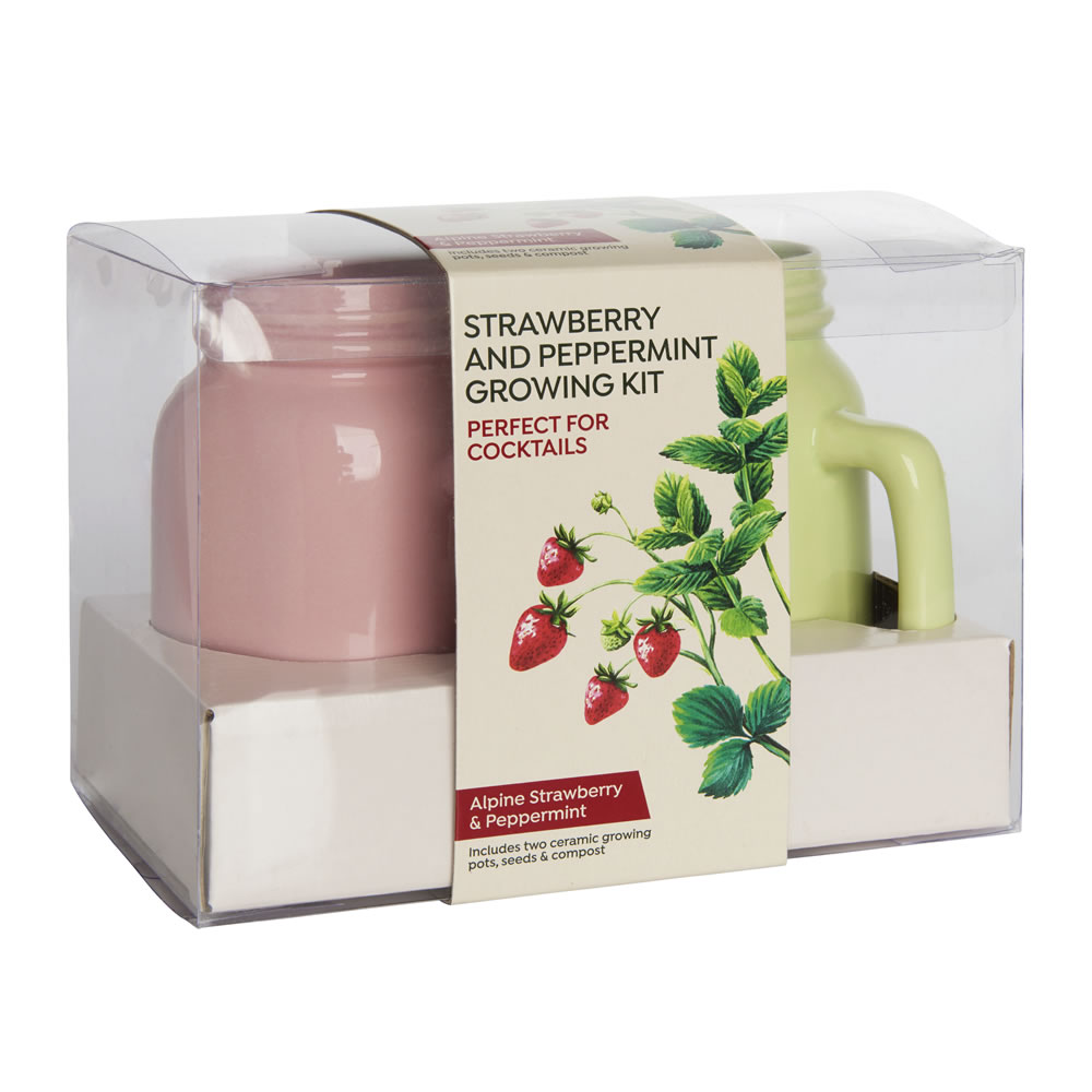 Wilko Strawberry and Peppermint Growing Kit Image 2