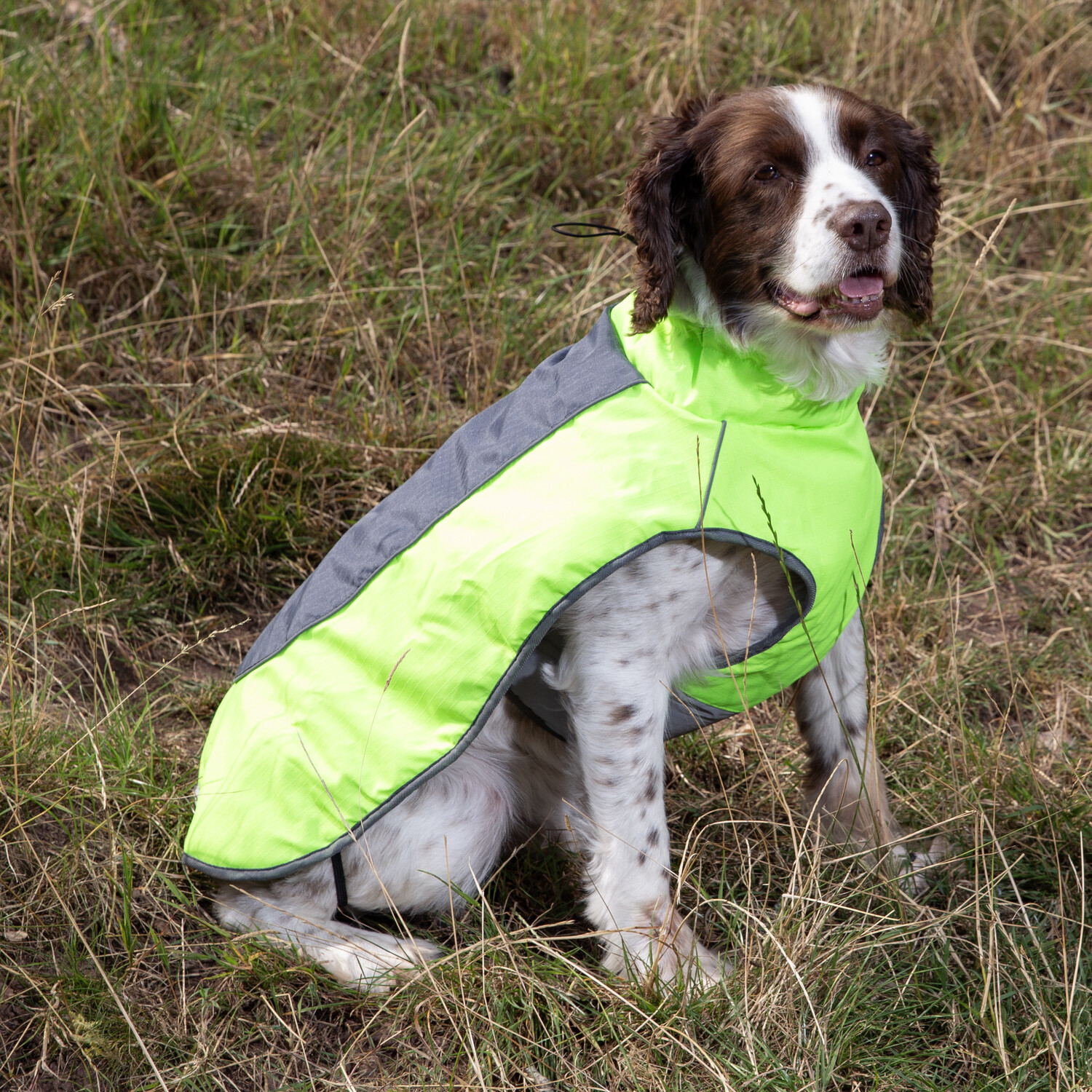 High Visibility Padded Dog Jacket Neon Green L Image 2