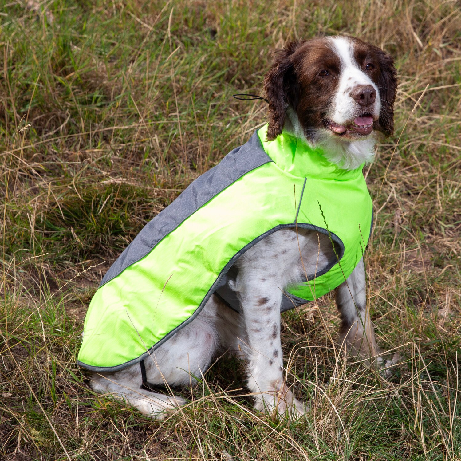 High Visibility Padded Dog Jacket Neon Green M Image 2