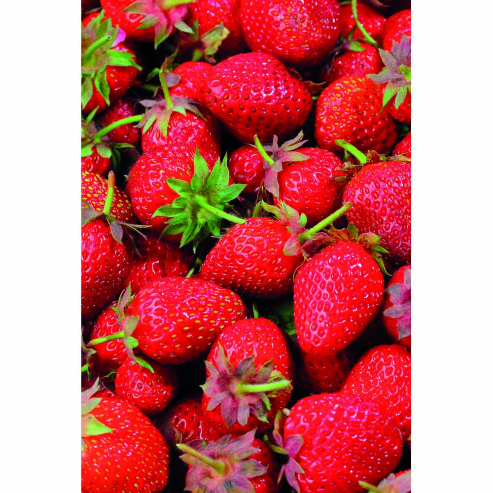 Wilko Summer Strawberry Hanging Basket 30 x 30 x 16cm Image 1