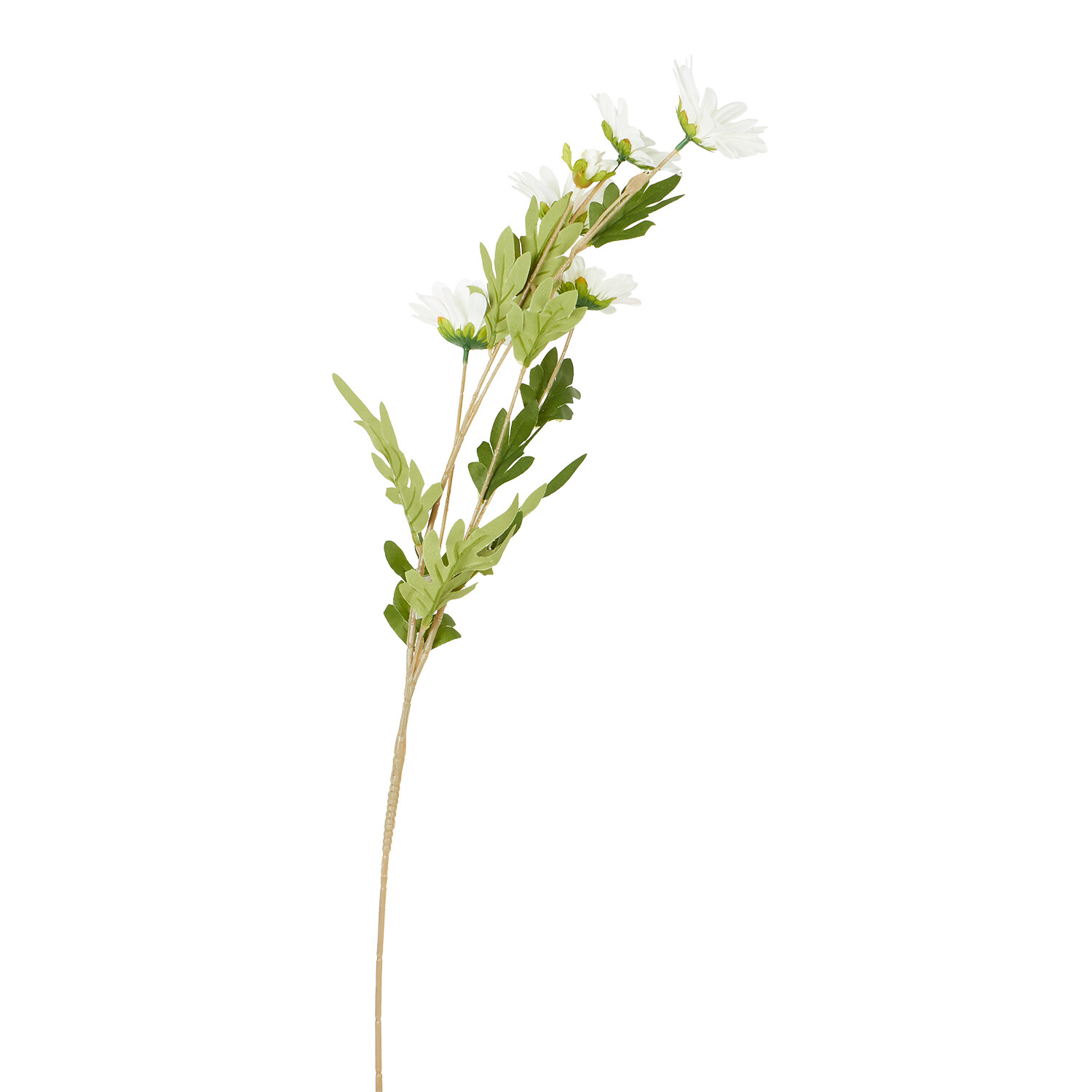 Yellow or Ivory Daisy Spray - Yellow or Ivory Image 3