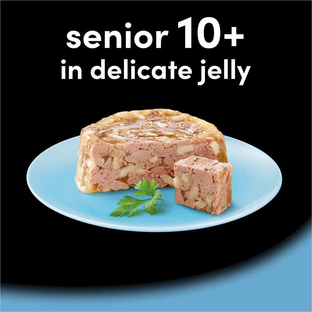 Cesar Meat in Delicate Jelly Senior Wet Dog Food Trays 8 x 1500g Image 8