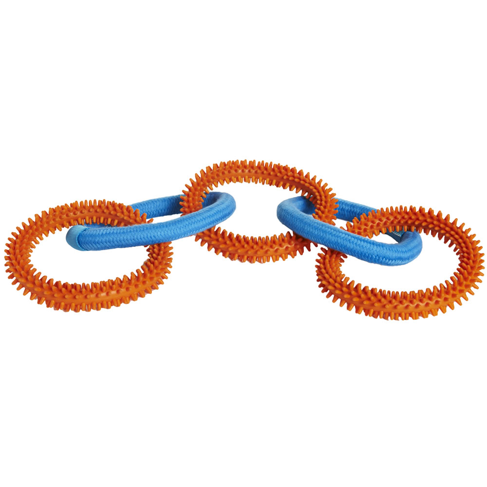 Wilko 5 Ring Chain Dog Toy Image