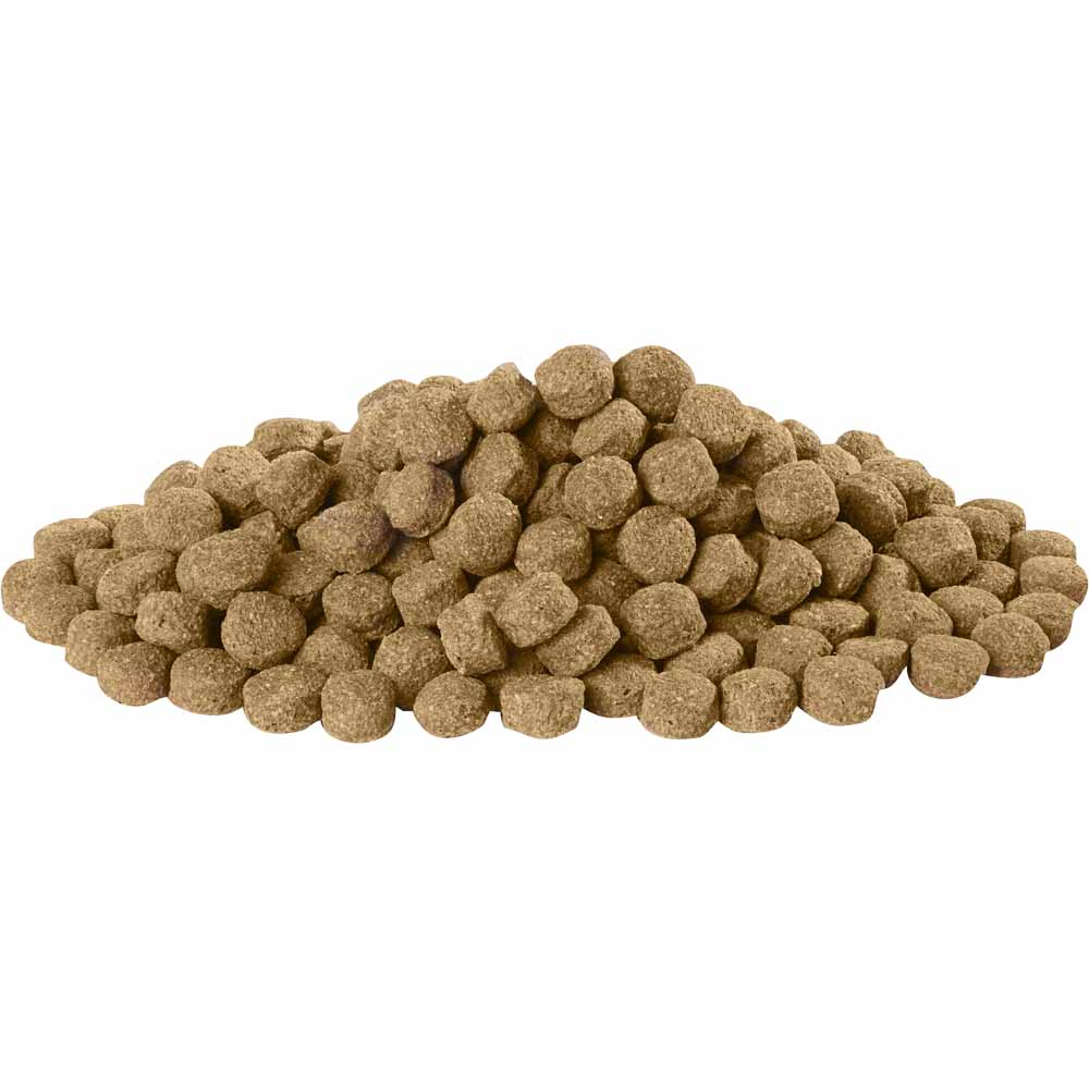 Harringtons Lamb and Rice Complete Dry Dog Food 2kg Image 2