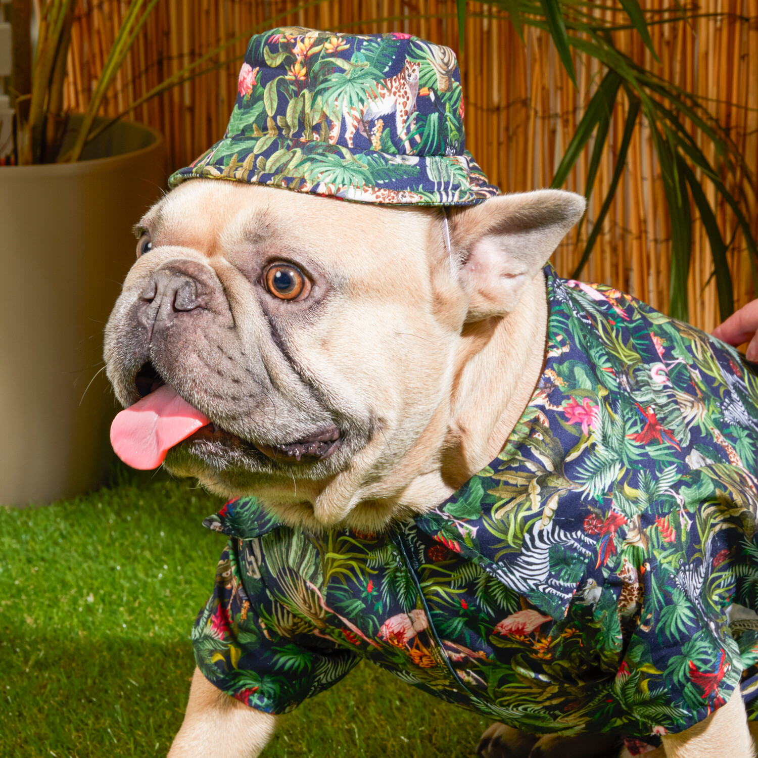 Eden Dog Bucket Hat - Multicolour Image 2
