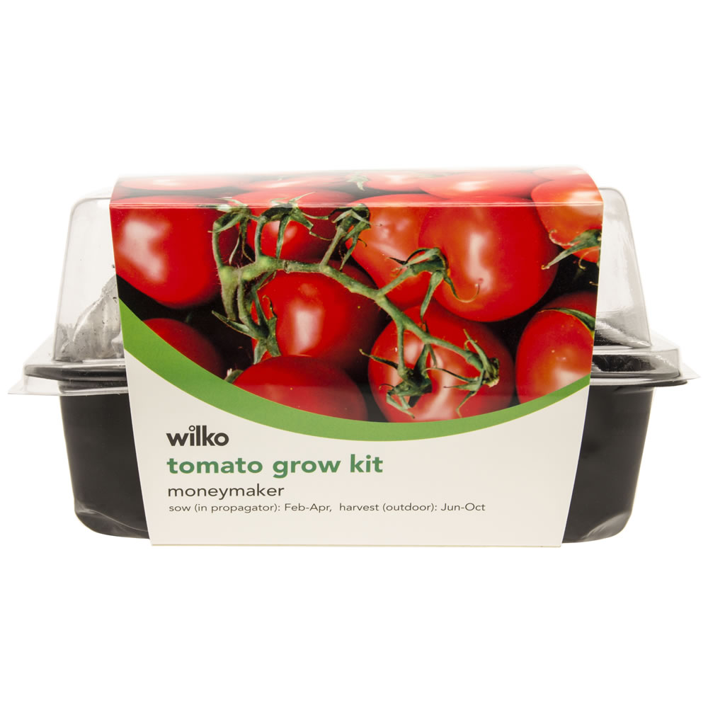 Wilko Tomato Moneymaker Grow Kit Image 2
