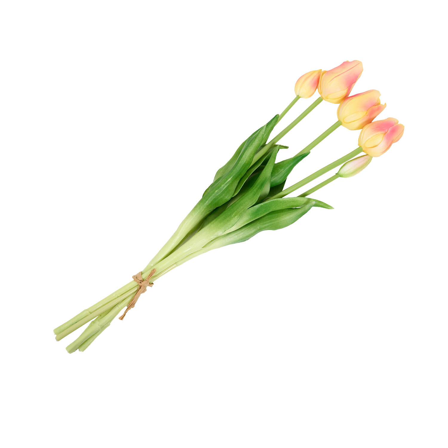 Bright Tulip Bunch Image 15