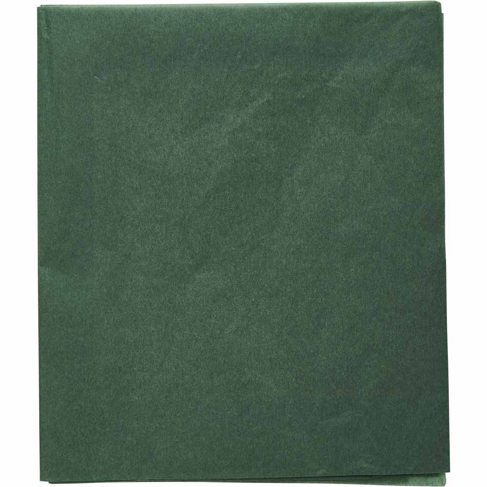 Wilko Cosy Green Tissue Paper Image