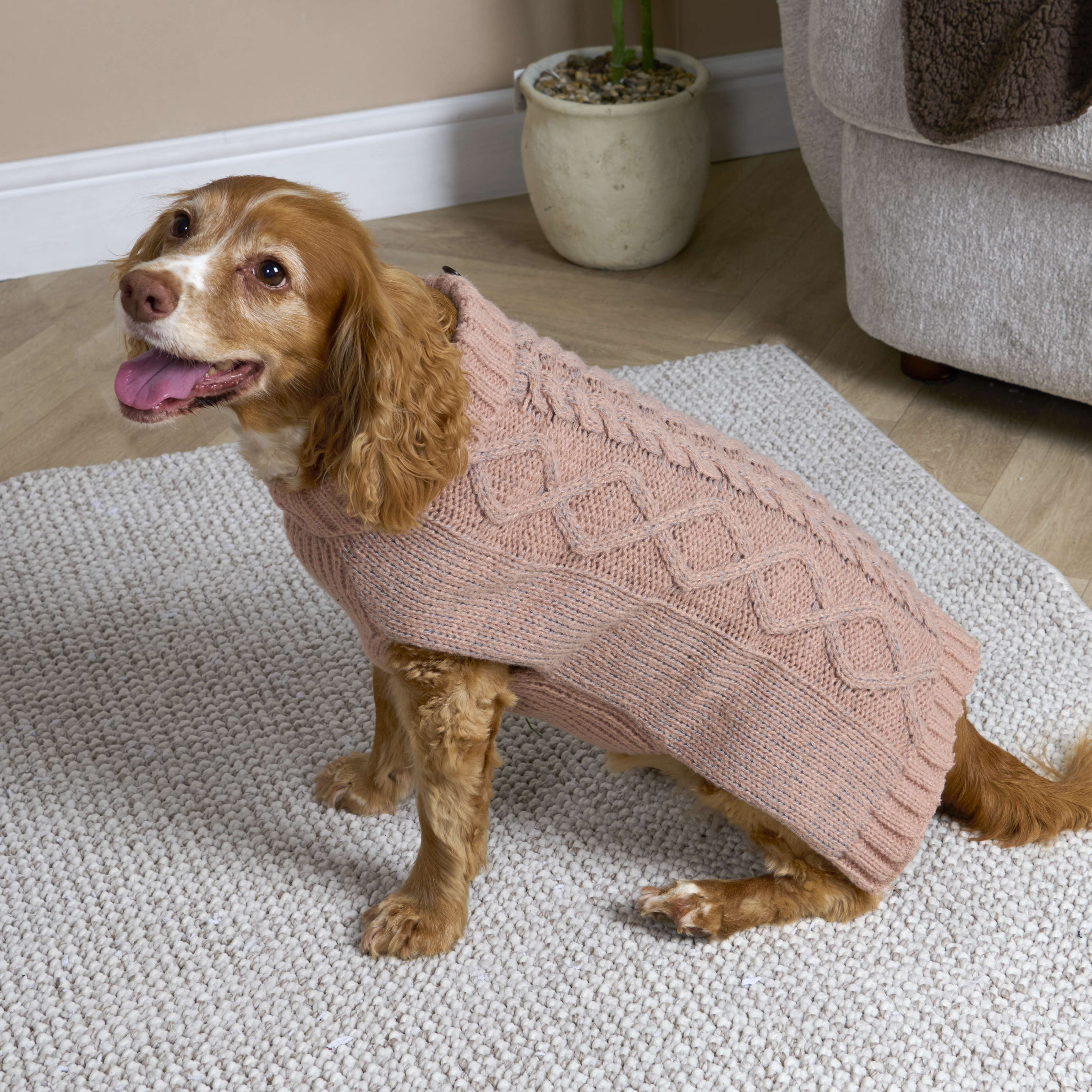 Reflective Roll Neck Pet Jumper M Image 4