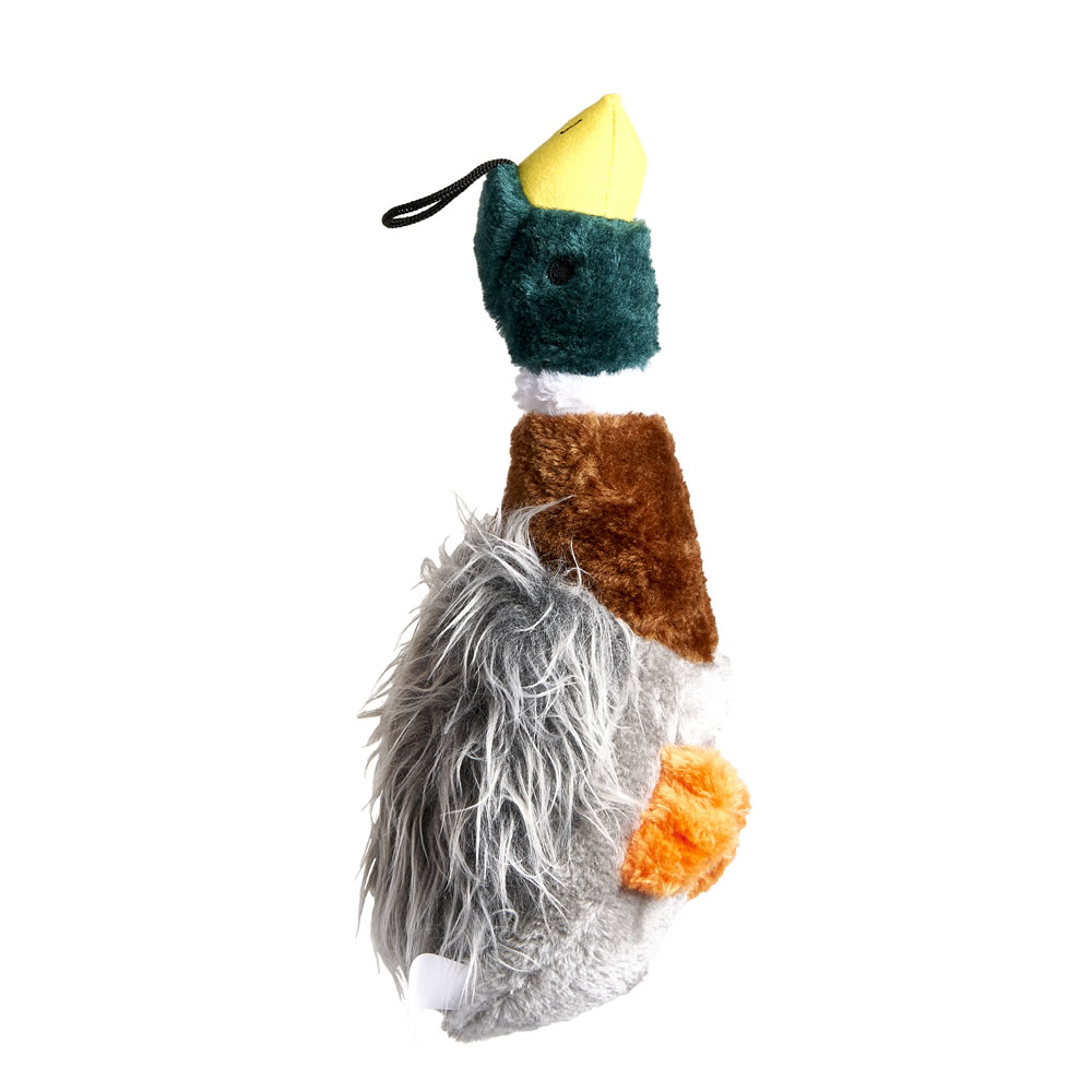 Single Wilko Pheasant and Mallard Dog Toy in Assorted styles Image 3
