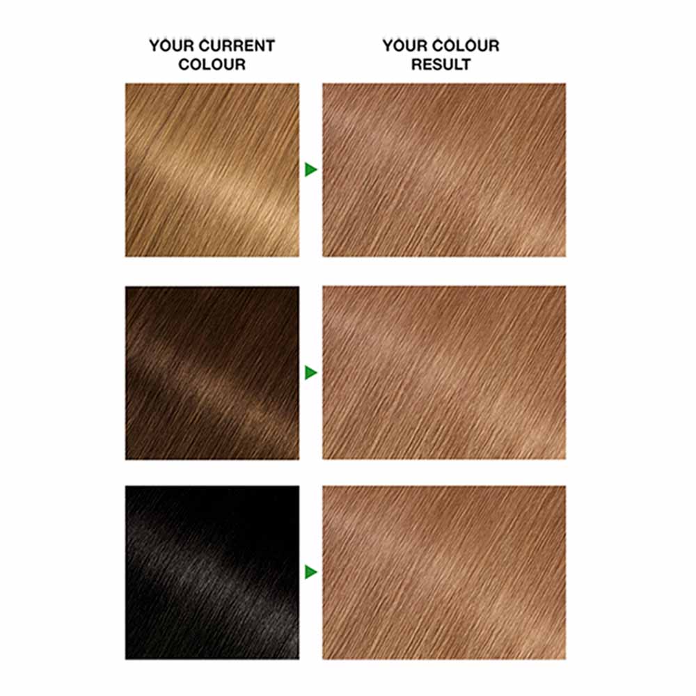 Garnier Nutrisse Caramel Golden Light Brown 6.3 Permanent Hair Dye Image 2