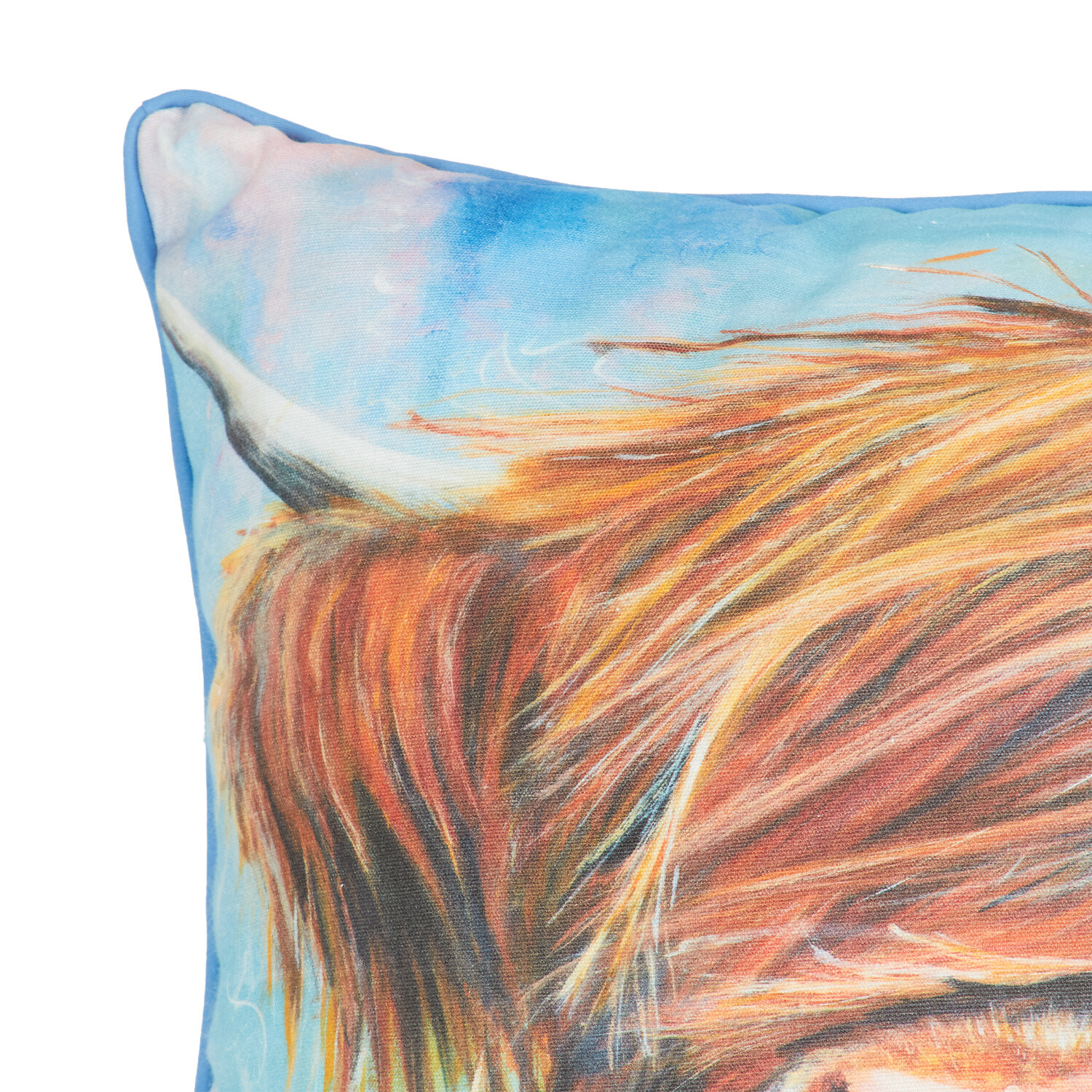 Julia Pankhurst Highland Cow Cushion 45 x 45cm Image 3