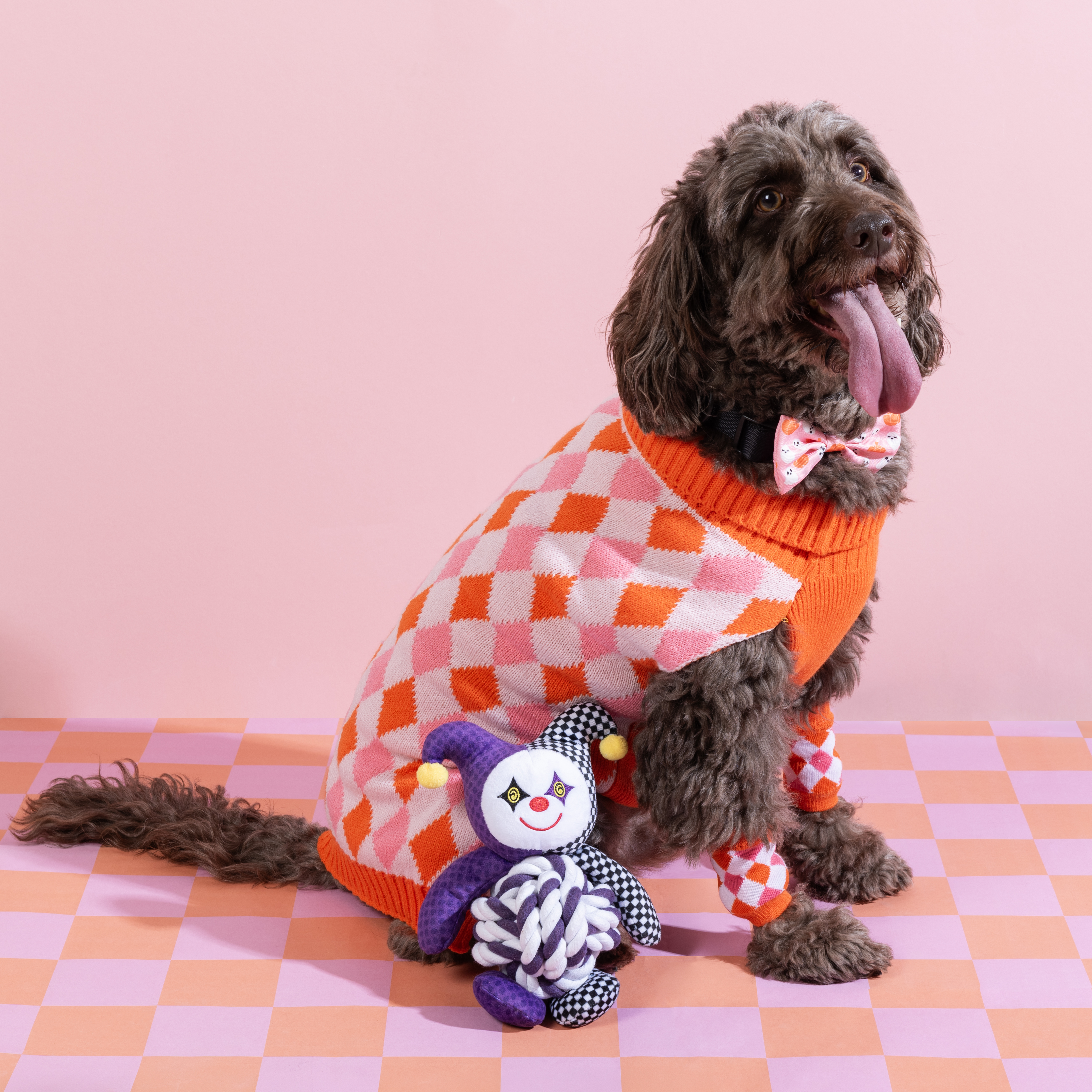 Harlequin Dog Jumper XS Image 2