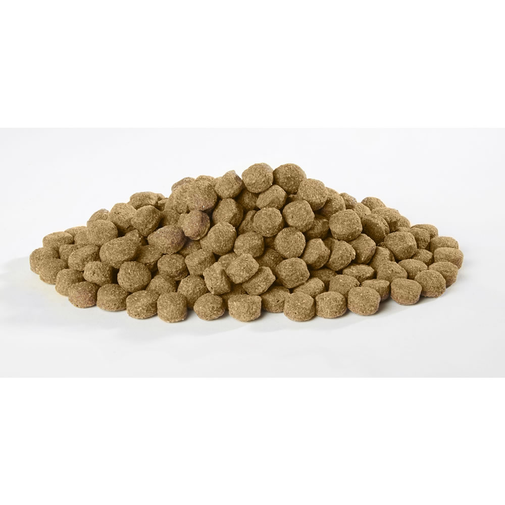 Harringtons Complete Lamb and Rice Dog Food 15kg Image 2