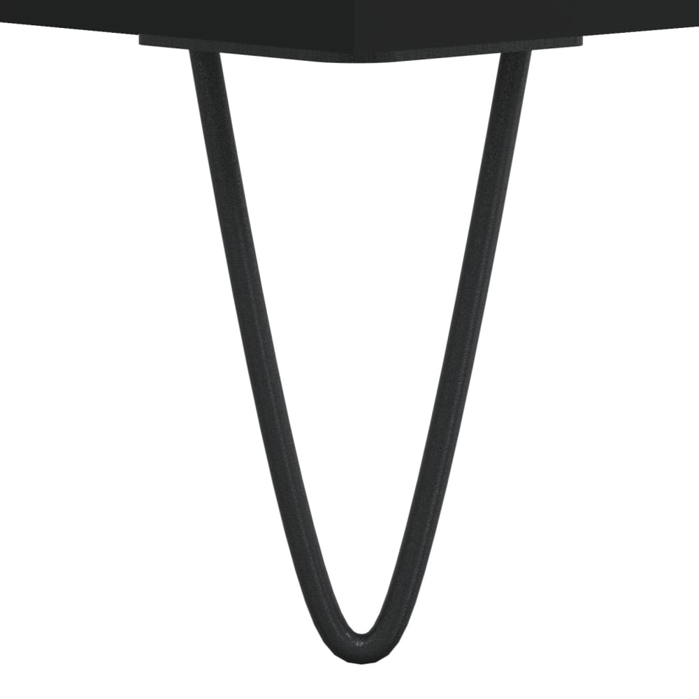 vidaXL 2 Shelf Black Record Cabinet Image 7