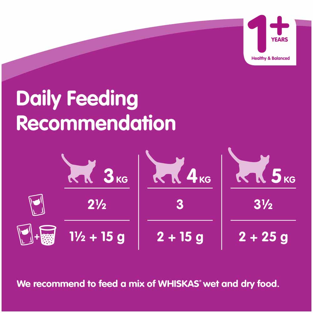 Whiskas Adult 1 Years+ Fish Selection in Jelly Cat Food Pouches 40x100g Image 7