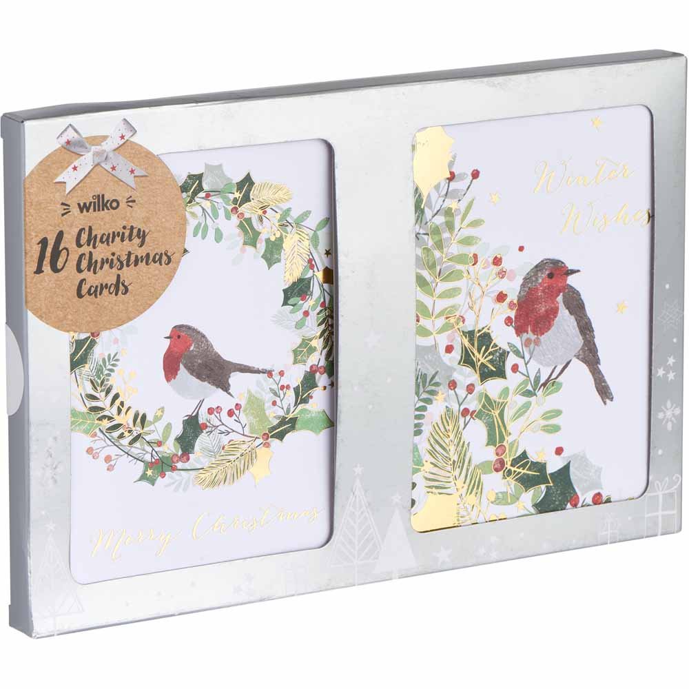 Wilko Robin Duo Christmas Cards 16 Pack Image 1