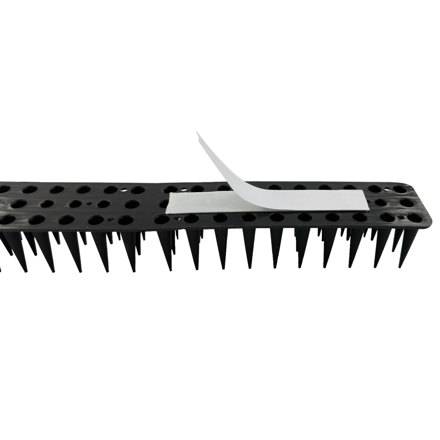 Plastic Bird Spikes Image 2