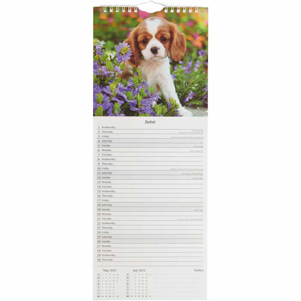 Wilko Puppies Month to View Slim Calendar Image 3