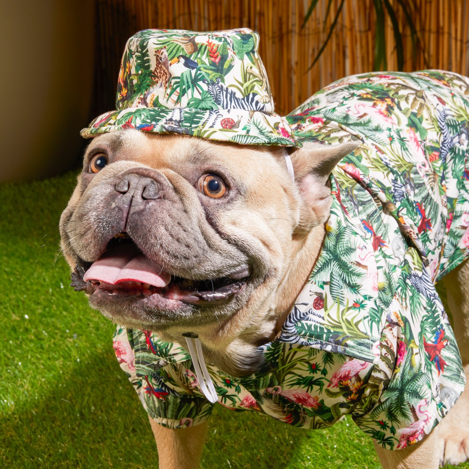 Eden Dog Bucket Hat - Multicolour Image 3