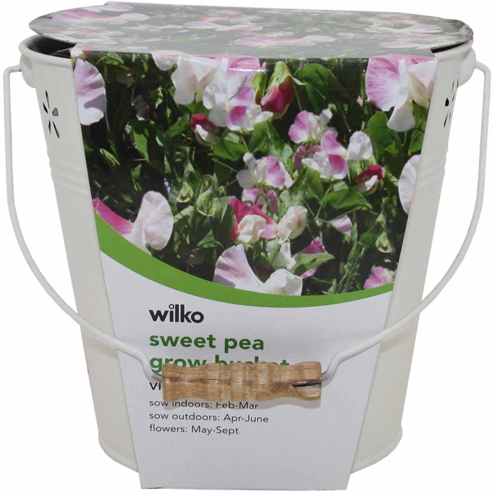 Wilko Summer Flower Bucket - Sweet Pea 18 x 18 x 17.5cm Image 2