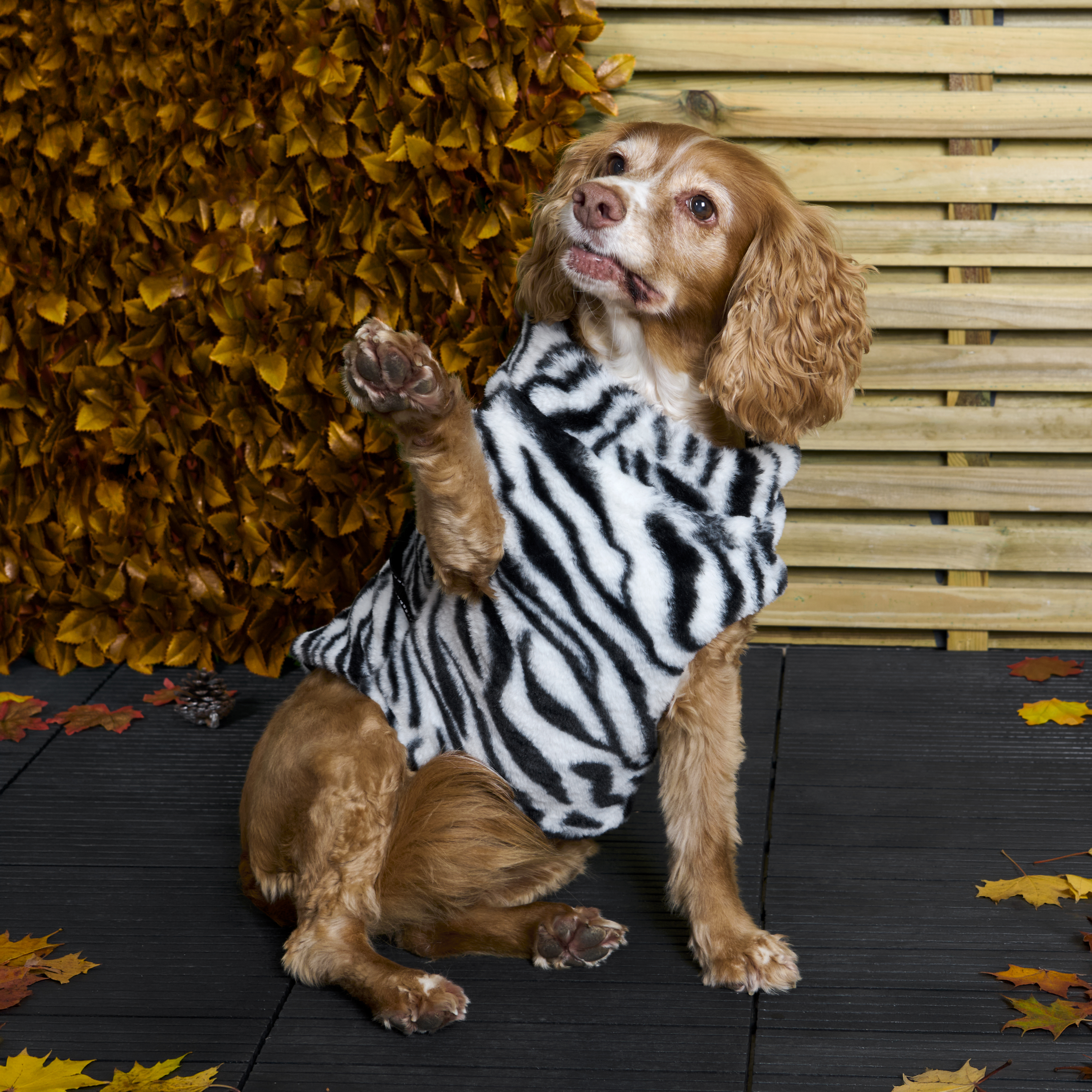 Fluffy Harness Dog Coat XS Image 2