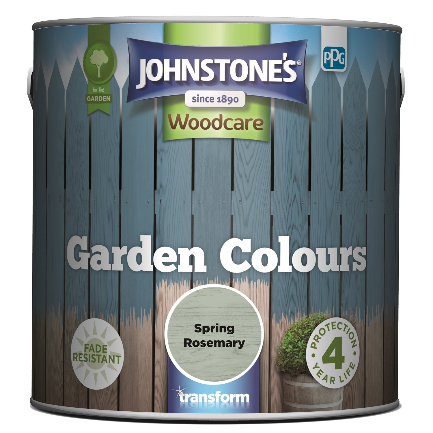 Johnstone's Garden Colour - Spring Rosemary Image 2
