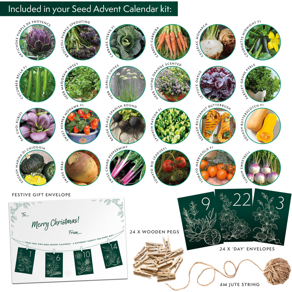 Thompson and Morgan Christmas Gift Vegetables Seed Christmas Gift Advent Calendar Kit Image 7