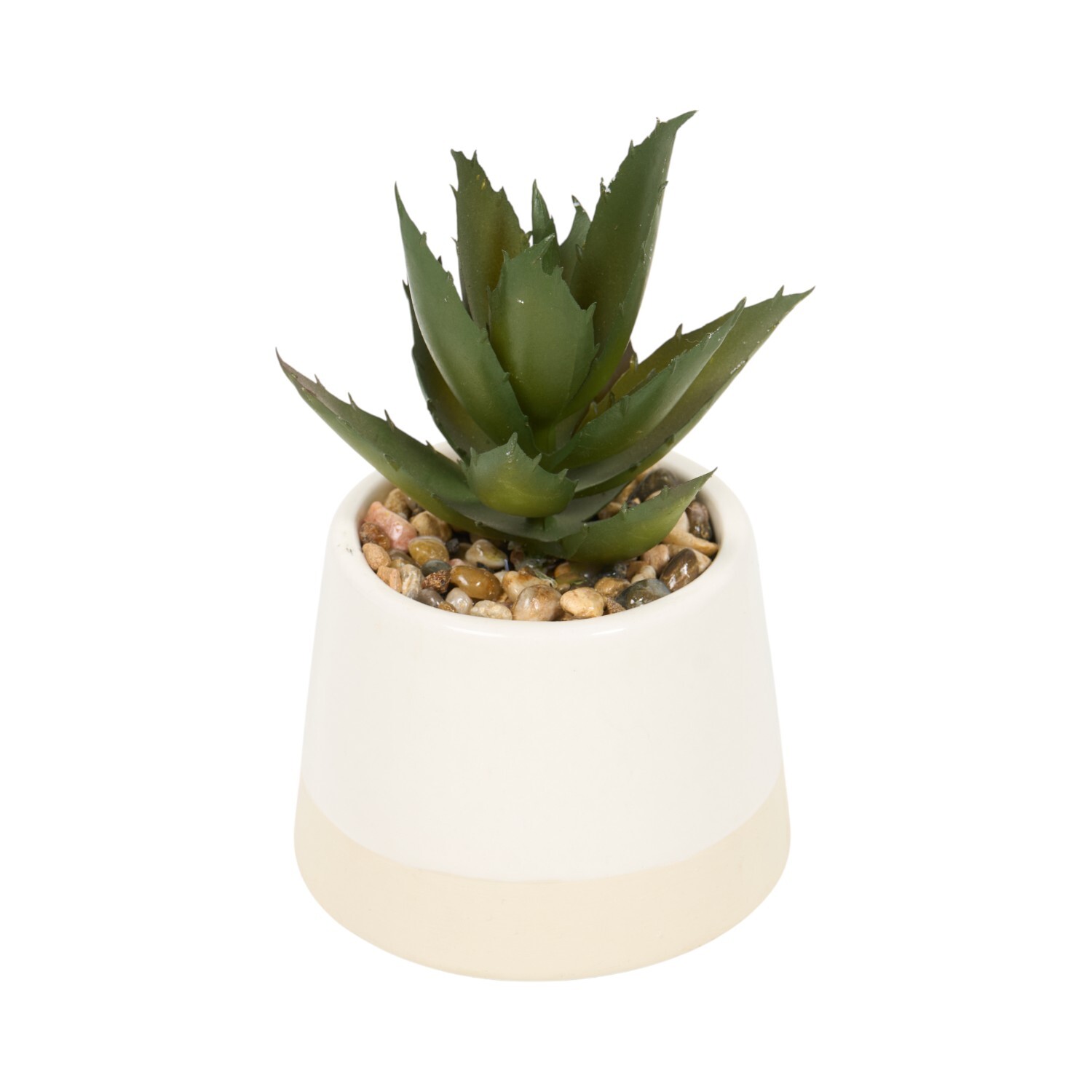 Mini Succulent Pot Image 5