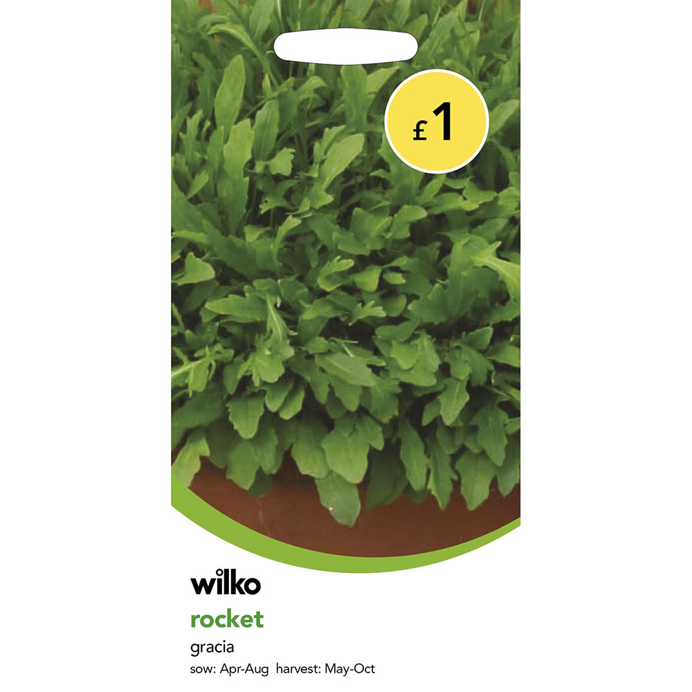 Wilko Rocket Gracia Seeds Image 2