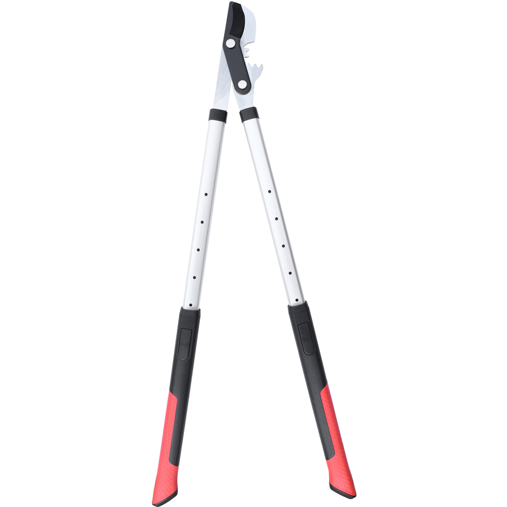 Advance Geared Telescopic Bypass Lopper Image 3