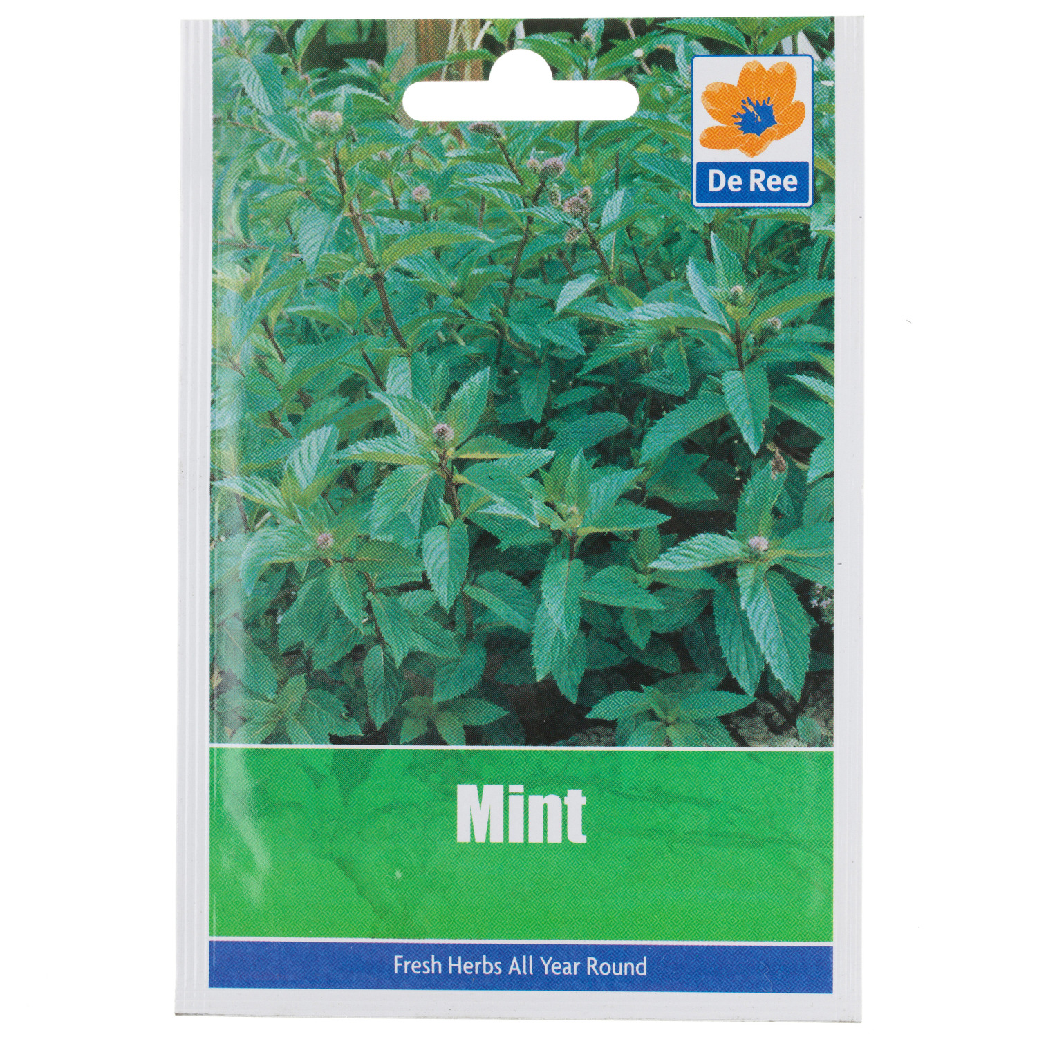 Mint Seed Packet Image