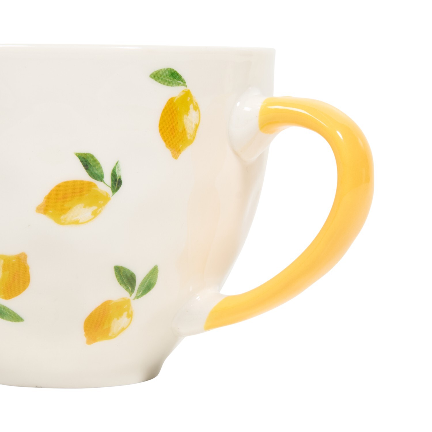Citrus Mug Image 7