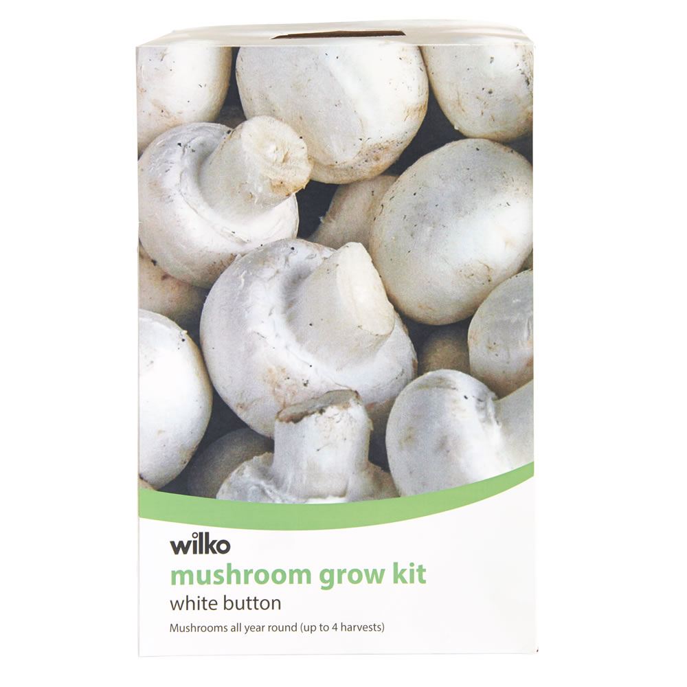 Wilko Mushroom Grow Kit Image 1