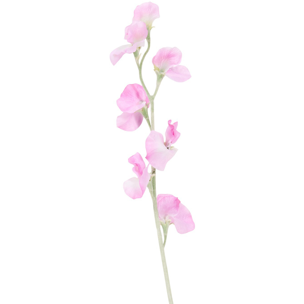 Sweet Pea Faux Stem Image 6