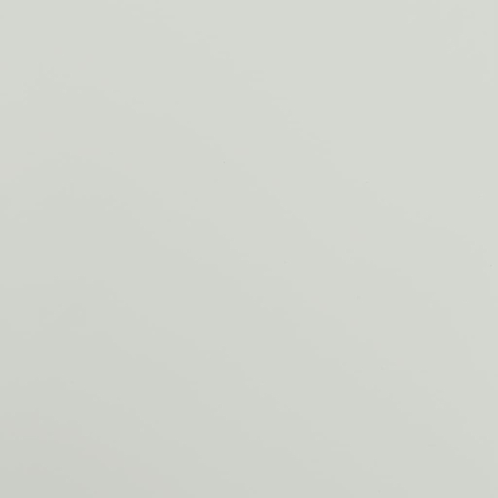 vidaXL 2 Door Light Grey Lockable File Cabinet Image 8