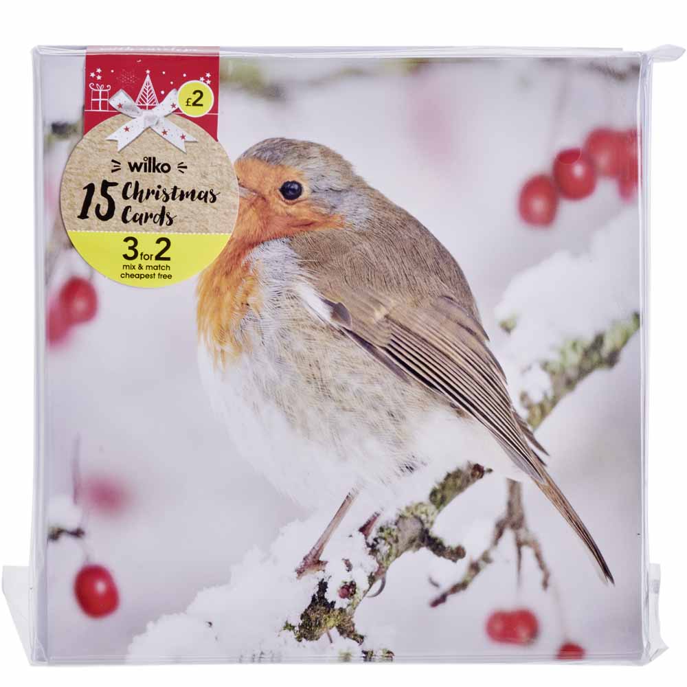 Festive Robin Photographic Christmas Cards 15 pack Image