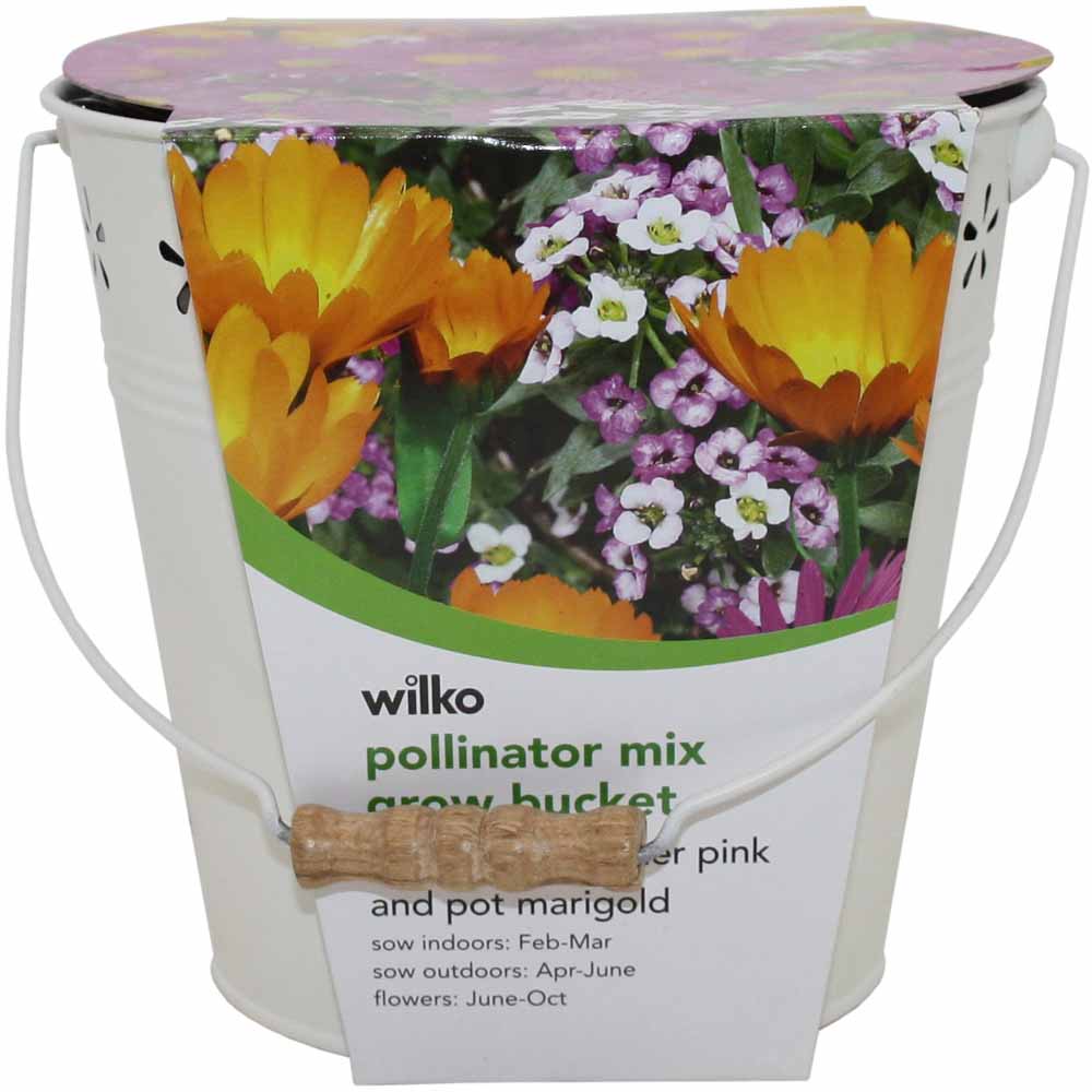 Wilko Summer Flower Bucket - Pollinators 18 x 18 x 17.5cm Image 2