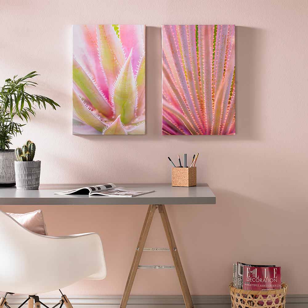 Art For The Home Blushed Tropics Set of 2 40 x 60 x 3cm Image 2