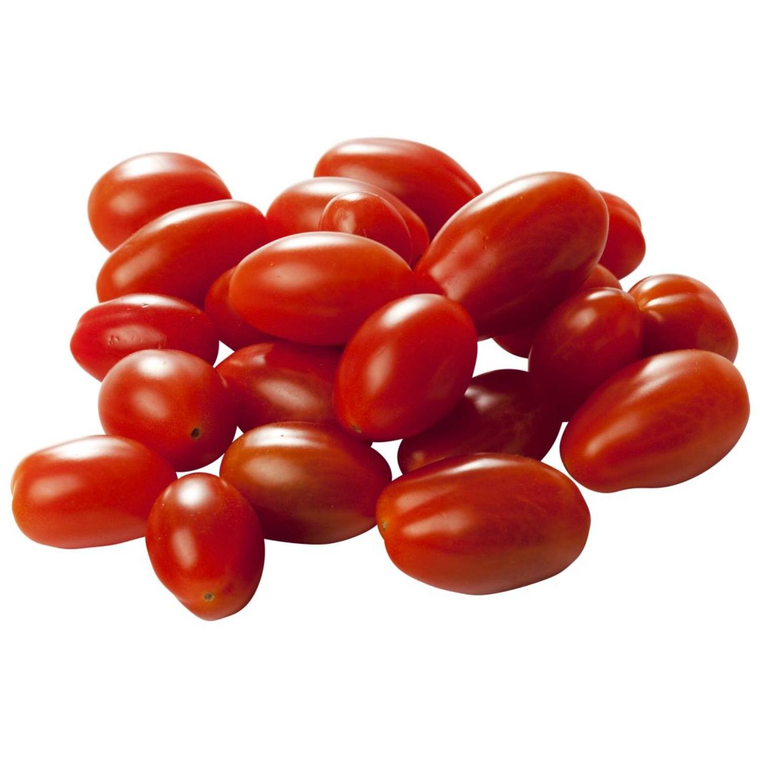 Snack Red Tomato Plant Image 1