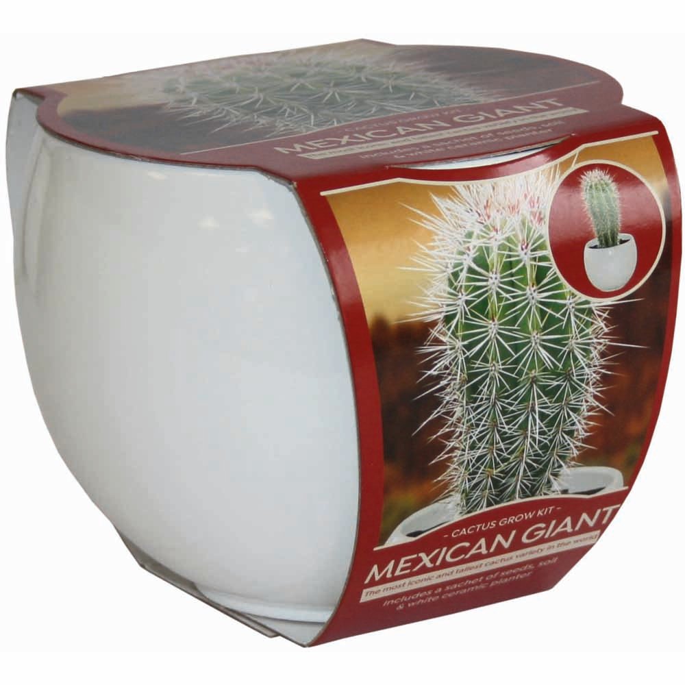 Wilko Mixed Case Cactus Grow Sets Image 8