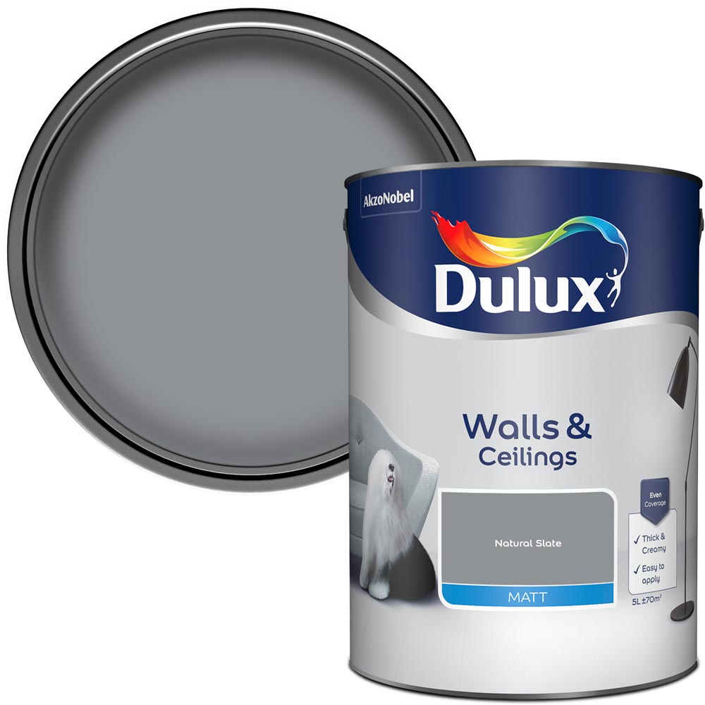Dulux Walls & Ceilings Natural Slate Matt Emulsion Paint 5L Image 1