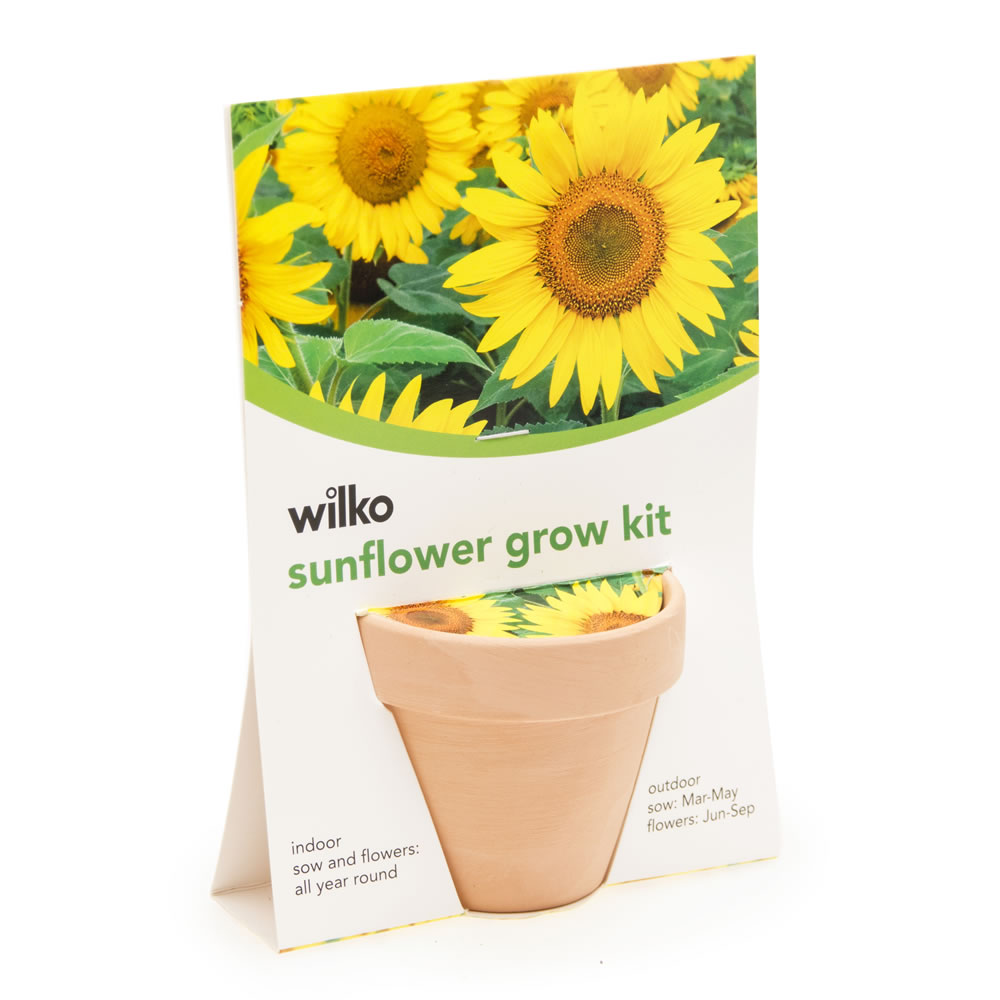 Wilko Terracotta Mini Grow Pot Assorted Wilko