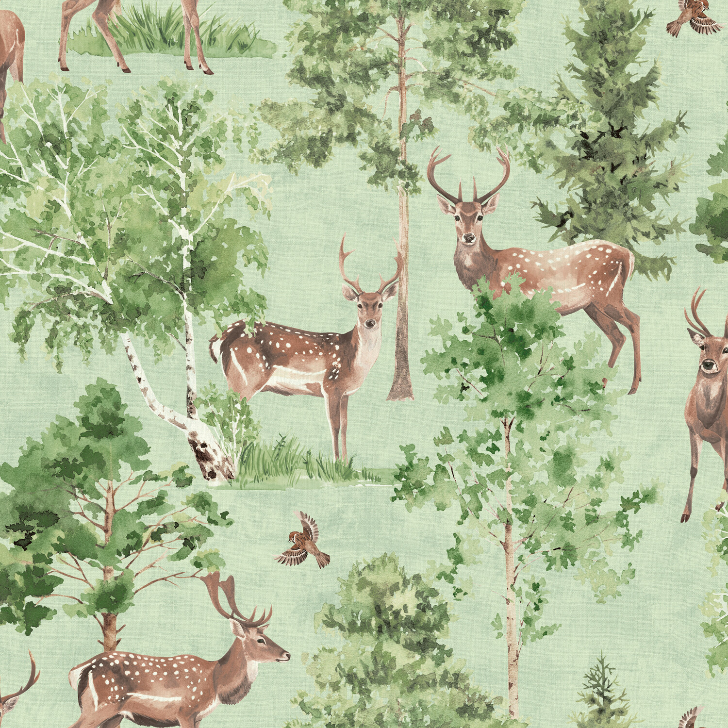 Deer Forest Natural Wallpaper - Green Image 1