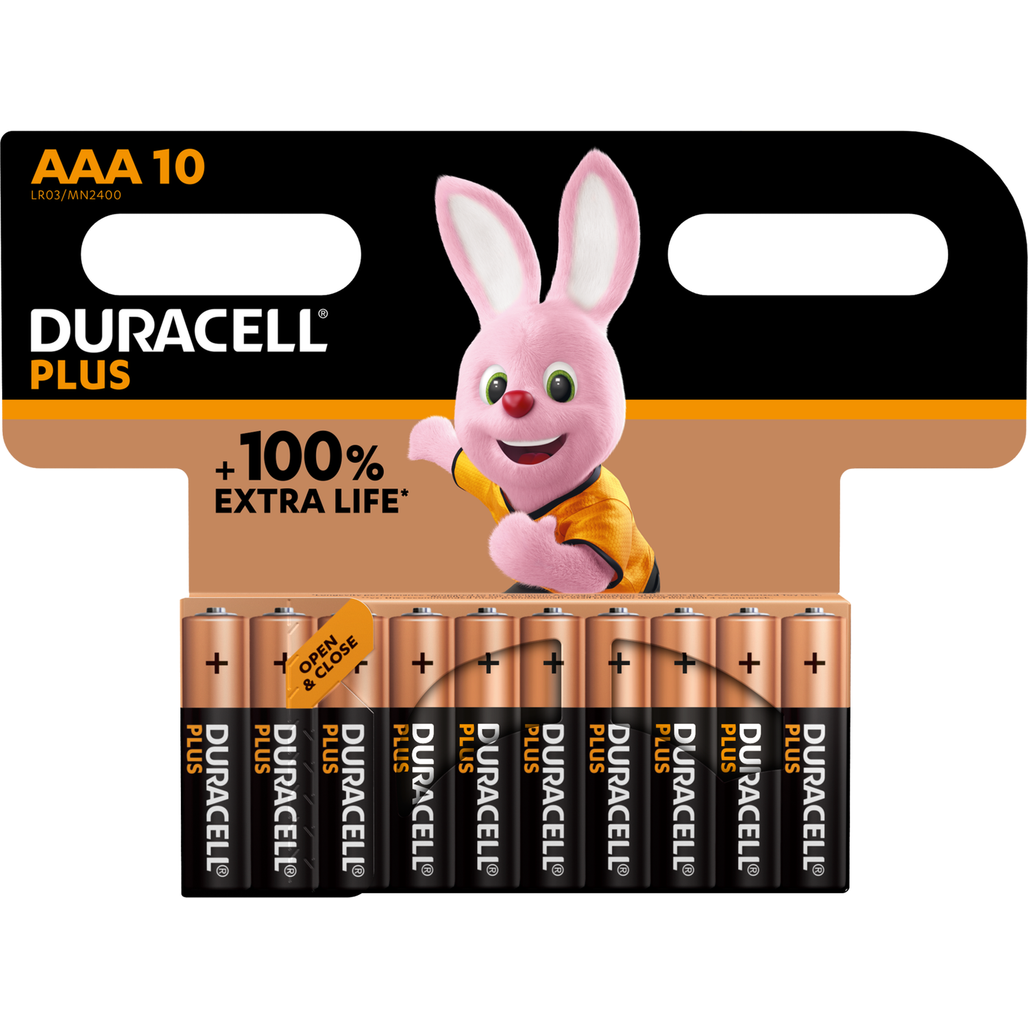 Duracell Plus Power AAA  Batteries Image