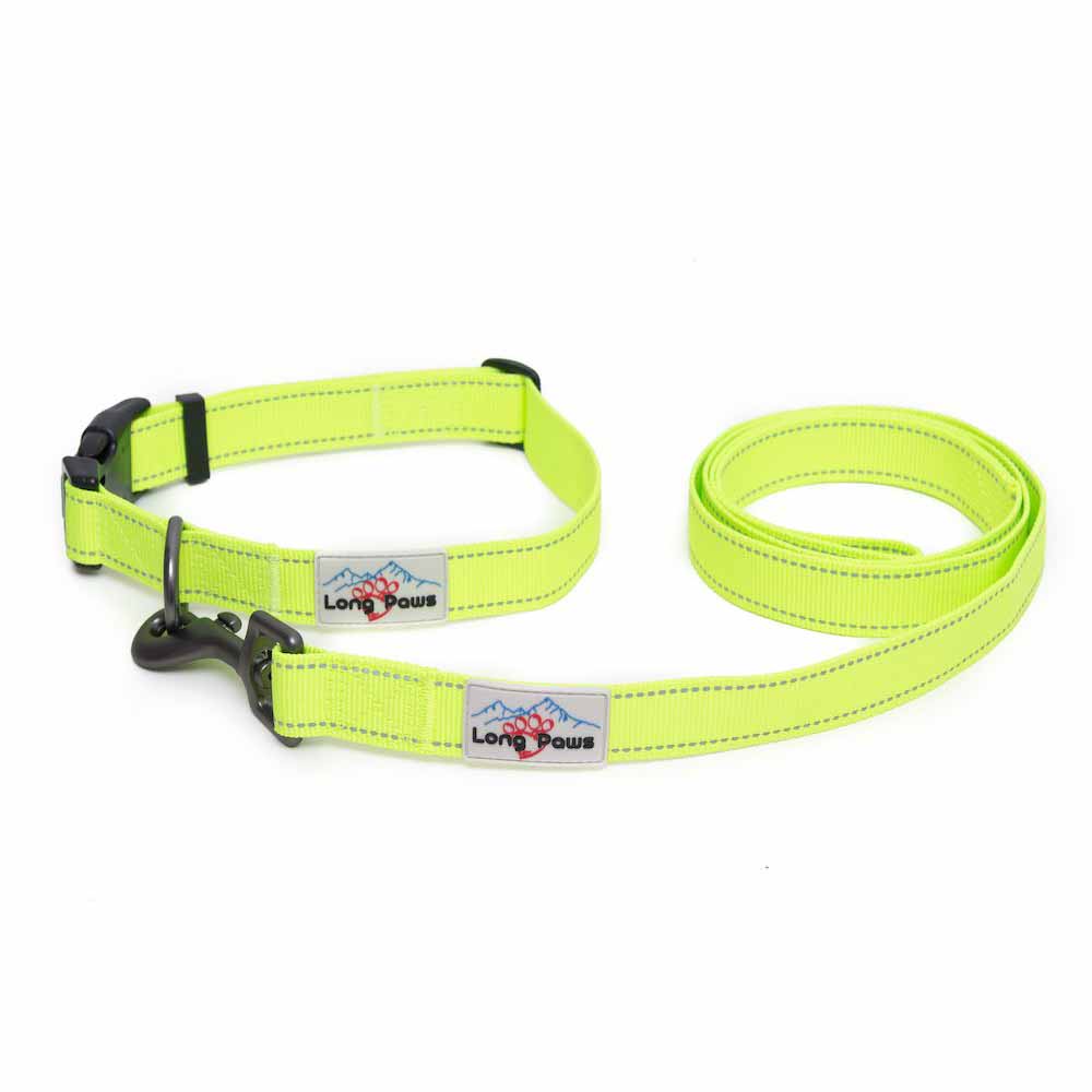 Long Paws Extra Small Reflective Collar Image 9