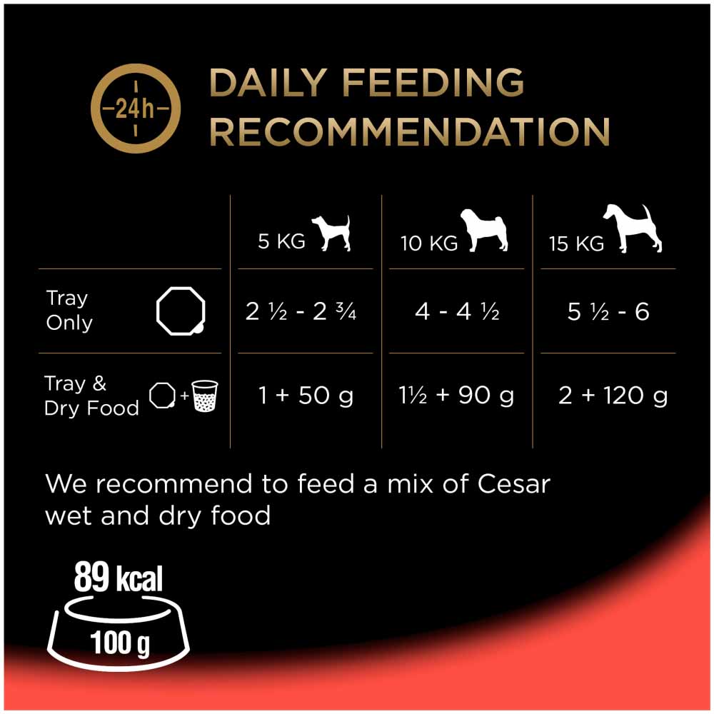 Cesar Classic Terrine Selection Dog Food Trays 8 x 150g Image 6