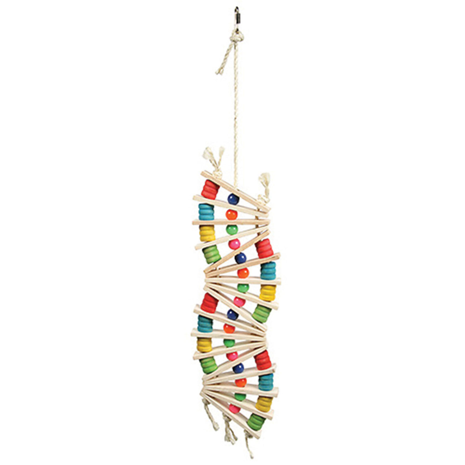 Rainbow Wave BIrd Toy Image