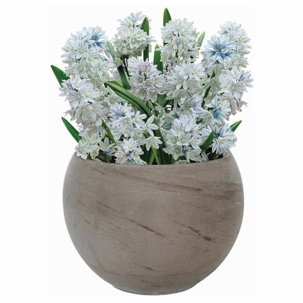 bulb planter wilko