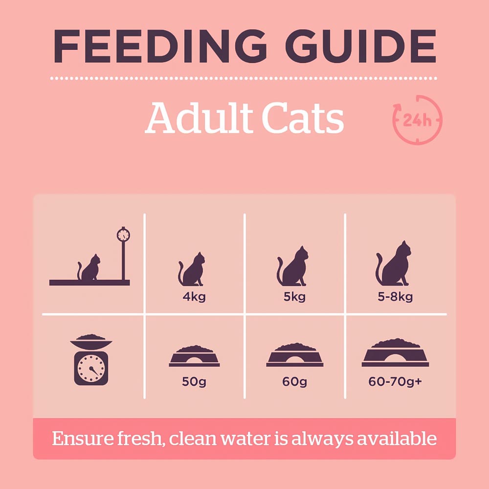 Burgess Scottish Salmon Adult Cat Food 1.5kg Image 3